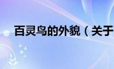 百灵鸟的外貌（关于百灵鸟的外貌介绍）