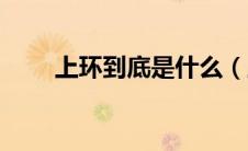 上环到底是什么（上环到底好不好）