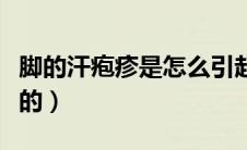 脚的汗疱疹是怎么引起的（汗疱疹是怎么引起的）