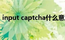input captcha什么意思(captcha什么意思)