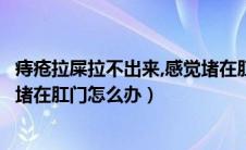 痔疮拉屎拉不出来,感觉堵在肛门怎么办（拉屎拉不出来感觉堵在肛门怎么办）