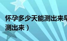 怀孕多少天能测出来早孕试纸（怀孕多少天能测出来）
