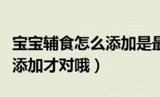 宝宝辅食怎么添加是最好的（宝宝辅食要这样添加才对哦）