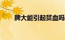 脾大能引起贫血吗（脾大能活多久）