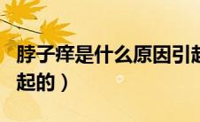 脖子痒是什么原因引起（脖子痒是什么原因引起的）
