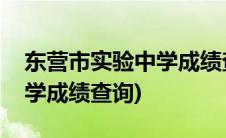 东营市实验中学成绩查询入口(东营市实验中学成绩查询)