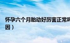 怀孕六个月胎动好厉害正常吗（怀孕六个月胎动厉害什么原因）