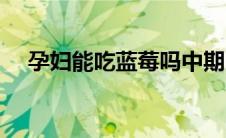孕妇能吃蓝莓吗中期（孕妇能吃蓝莓吗）