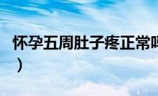 怀孕五周肚子疼正常吗（怀孕五周肚子会大吗）