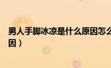 男人手脚冰凉是什么原因怎么调理（男人手脚冰凉是什么原因）