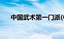 中国武术第一门派(中国武术第一高手)