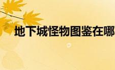 地下城怪物图鉴在哪（地下城怪异的蛋）
