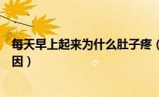 每天早上起来为什么肚子疼（每天早上起来肚子痛是什么原因）