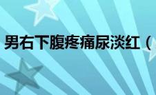 男右下腹疼痛尿淡红（男右下腹疼痛的原因）