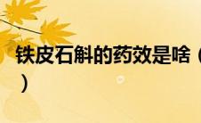 铁皮石斛的药效是啥（铁皮石斛的药效有哪些）