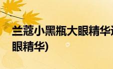 兰蔻小黑瓶大眼精华适合年龄(兰蔻小黑瓶大眼精华)