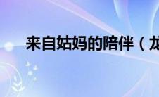 来自姑妈的陪伴（龙之谷魔导pk加点）