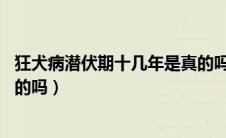 狂犬病潜伏期十几年是真的吗（狂犬病潜伏期最长30年是真的吗）