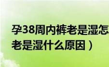 孕38周内裤老是湿怎么回事（怀孕38周下面老是湿什么原因）