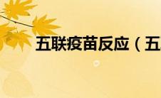 五联疫苗反应（五联疫苗不良反应）