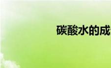 碳酸水的成分(碳酸水)