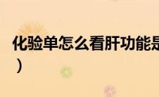 化验单怎么看肝功能是否正常（化验单怎么看）