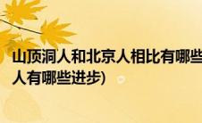 山顶洞人和北京人相比有哪些进步之处(比较山顶洞人和北京人有哪些进步)