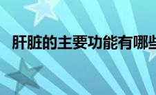 肝脏的主要功能有哪些（肝脏的主要功能）