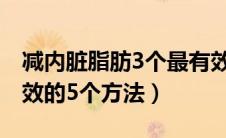 减内脏脂肪3个最有效的方法（减内脏脂肪有效的5个方法）
