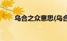 乌合之众意思(乌合之众意思是什么)