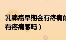 乳腺癌早期会有疼痛的症状吗（乳腺癌早期会有疼痛感吗）