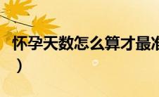 怀孕天数怎么算才最准确（如何计算怀孕天数）