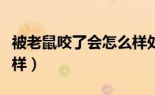 被老鼠咬了会怎么样处理（被老鼠咬了会怎么样）