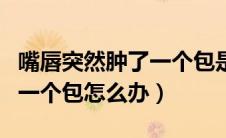 嘴唇突然肿了一个包是怎么了（嘴唇突然肿了一个包怎么办）