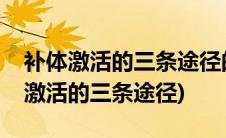 补体激活的三条途径的共同末端通路是(补体激活的三条途径)