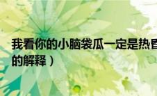 我看你的小脑袋瓜一定是热昏头了是什么意思和梗（这句话的解释）