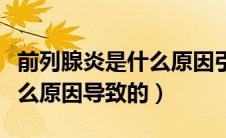 前列腺炎是什么原因引起的男（前列腺炎是什么原因导致的）