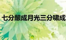 七分酿成月光三分啸成剑气(七分酿成了月光)