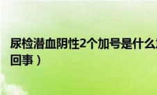 尿检潜血阴性2个加号是什么意思（尿检潜血2个加号是怎么回事）