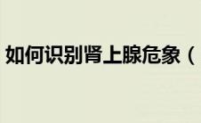 如何识别肾上腺危象（肾上腺危象是怎样的）