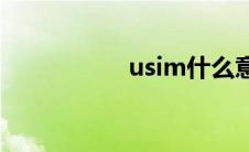 usim什么意思(usim)