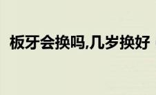 板牙会换吗,几岁换好（板牙会换吗几岁换）