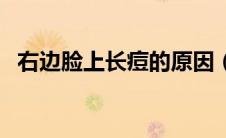 右边脸上长痘的原因（右边脸长痘的原因）