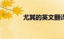尤其的英文翻译(尤其的意思)