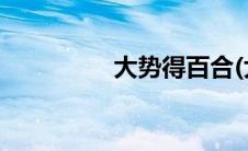 大势得百合(大势的百合)
