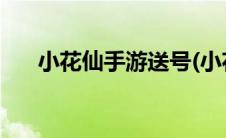 小花仙手游送号(小花仙送号公开密码)
