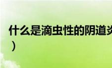 什么是滴虫性的阴道炎（什么是滴虫性尿道炎）