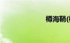 樽海鞘(樽海鞘)