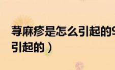 荨麻疹是怎么引起的9大原因（荨麻疹是怎么引起的）