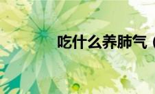 吃什么养肺气（吃什么养肺）